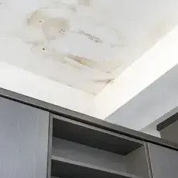 Asesores FLC / Cobra tu seguro